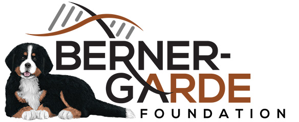 Berne Garde Foundation Logo